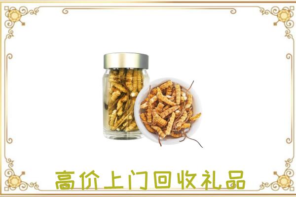 郾城区周边回收虫草